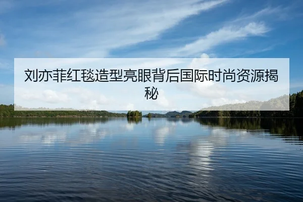 liu-yi-fei-hong-tan-zao-xing-liang-yan-bei-hou-guo-ji-shi-shang-zi-yuan-jie-mi-2-431.jpg