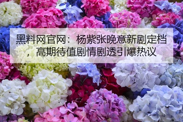 黑料网官网：杨紫张晚意新剧定档，高期待值剧情剧透引爆热议